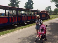 -永定河休闲森林公园