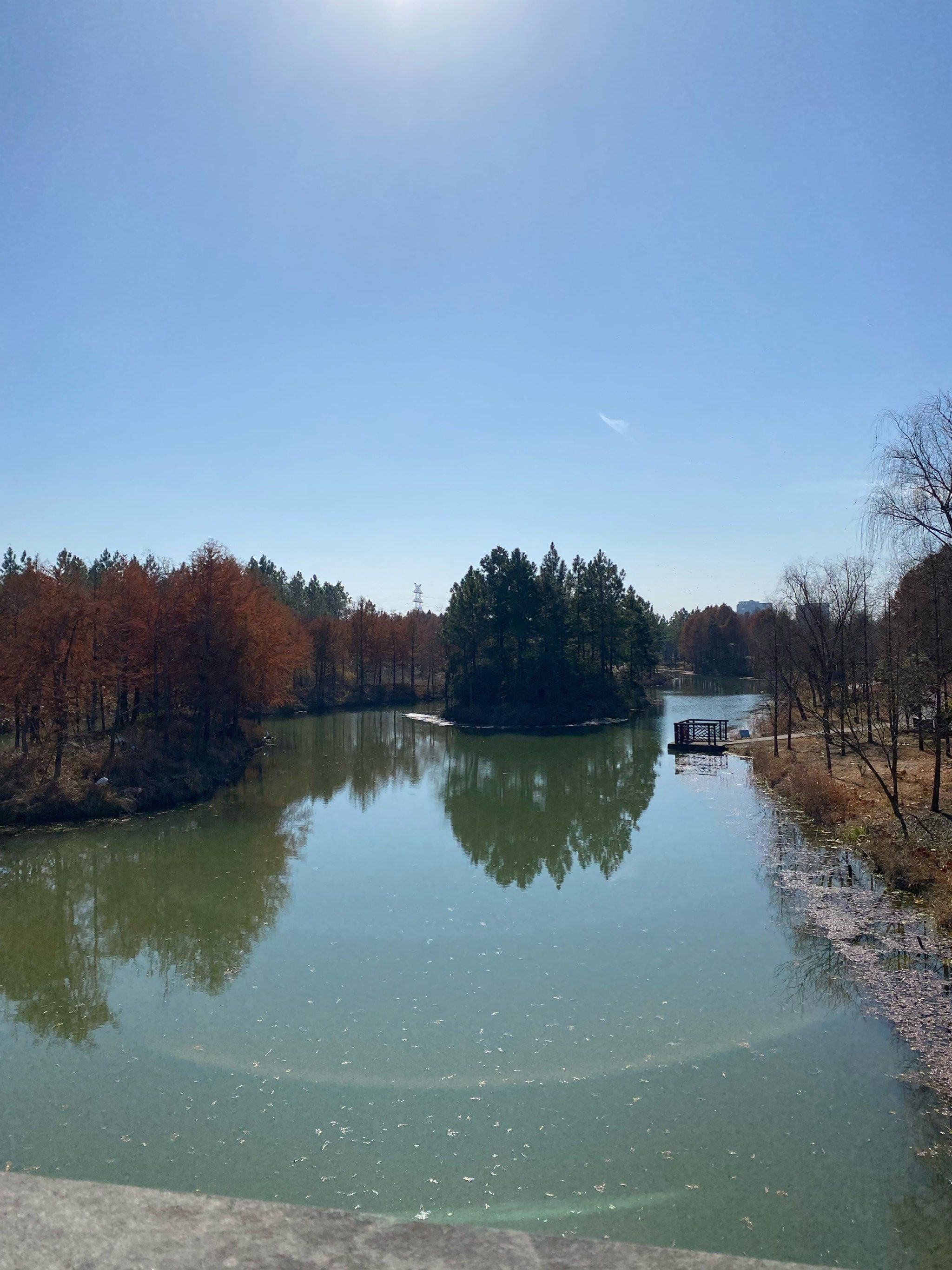 慈溪森林公园 呼吸新鲜空气