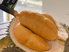 -榴莲BB 四季果园