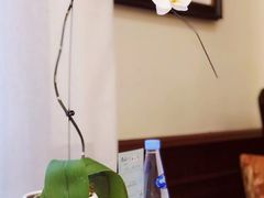 -子霖南山鲜虾面(南山总店)