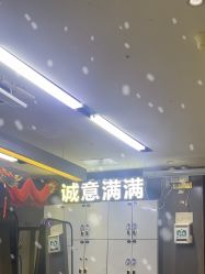 -帝迈造型