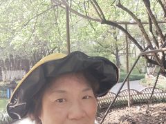 -昆山城市生态森林公园