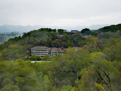 -金鸡山公园