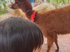 -盈香心动乐园