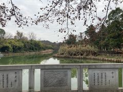 -花溪公园