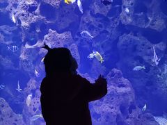 -哈尔滨波塞冬海底世界