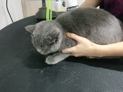 -宠颐生动物医院·小陆分院