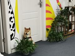 -爱乐蒙艺术·古筝 钢琴 声乐(科华校区)