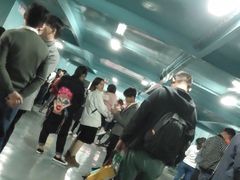 -黄浦江游览快线(金陵东路码头)
