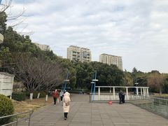 -中央公园(苏州工业园区)
