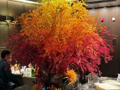 -秀儿四九城·新京菜(亚运村鸟巢店)