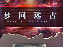 -信阳博物馆