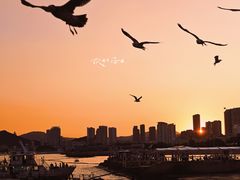 -星海广场