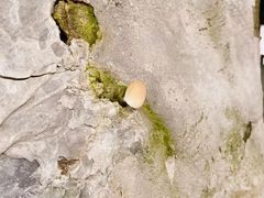 -随意茶庄·地道杭帮农家菜(梅家坞店)