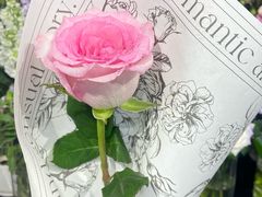 -FEI FEI FLOWER鲜花店·气球派对·宝宝宴布置(虹口德必运动Loft店)