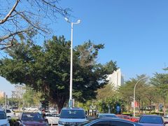 -优车会·V-KOOL威固(北山店)