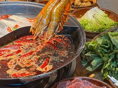 -阳阳老火锅(小南门店)
