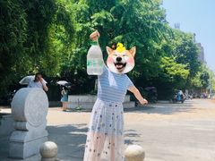 -白沙古井