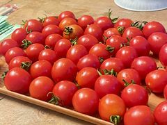 -罗浮山嘉宝田森林温泉度假酒店