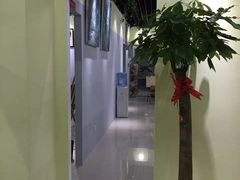 -上海峰子美术教育培训机构(杨浦店)