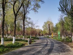 -长白岛森林公园