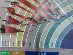 -安徽省地质博物馆