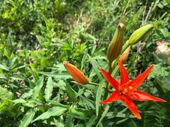 -白草畔自然风景区