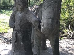 -紫金山索道-售票处