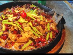 -老板恋上鱼(恒隆广场店)