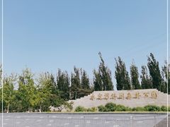 -永定河休闲森林公园