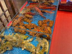 -吴记富苑(朝阳店)