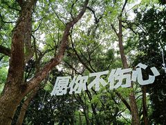 -杭州植物园