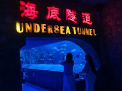 -太平洋海底世界