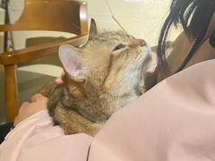-H立方实景剧情密室(天河旗舰店)