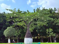 -东莞植物园