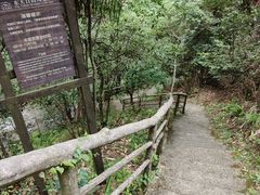 -东天目山风景区