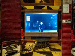 -麦乐星量贩式KTV(东丽汇城广场店)