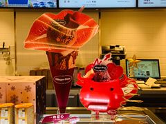 -哈根达斯(芳圆里店)
