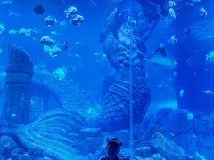 -哈尔滨波塞冬海底世界