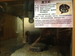 2.1-上海大自然野生昆虫馆