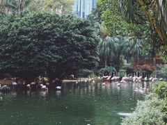 -九龙公园