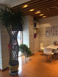 -苗方清颜专业祛痘养生