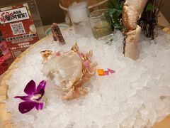 -蟹的岡田屋(正大广场店)