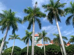 -厦门大学(思明校区)