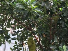 -陆地游轮吉林神农温泉