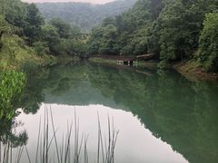 -桃花岭景区
