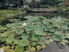 -杭州西湖柳莺里酒店·闻莺厅