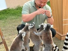 -无锡动物园·太湖欢乐园