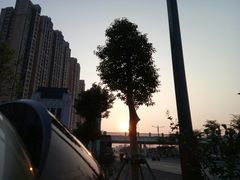 -星巴克臻选(湛江鼎盛广场店)
