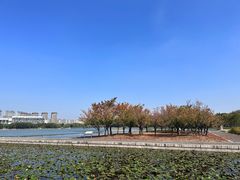 -尚贤河湿地